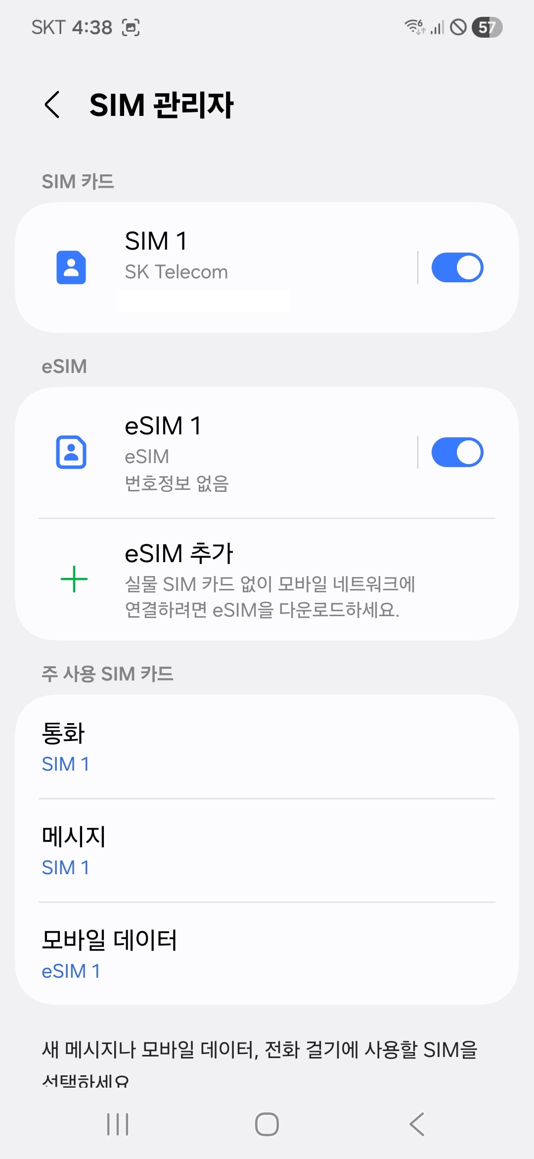 eSIM 확인
